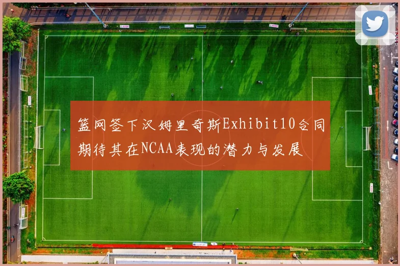 篮网签下汉姆里奇斯Exhibit10合同期待其在NCAA表现的潜力与发展